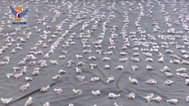  قافلتان للمرابطين بالجبهات من أبناء مناخة وأسرة المروني