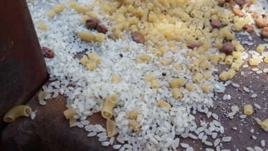 الصحة بغزة تحذر من أغذية غير صالحة للاستخدام دخلت دون إذن الجهات المختصة