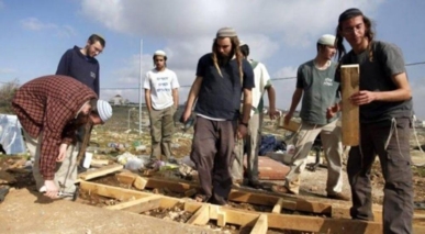 مستوطنون يصعّدون من  اعتداءاتهم على الفلسطينيين وممتلكاتهم في الضفة الغربية