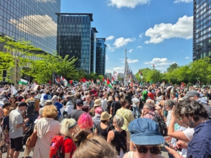 مظاهرة حاشدة في بروكسل تنديدًا باستمرار العدوان الإسرائيلي على غزة