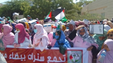 وقفة تضامنية مع مظلومية الشعب الفلسطيني في العاصمة الموريتانية