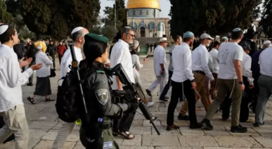 147 مستوطنًا يقتحمون المسجد الأقصى