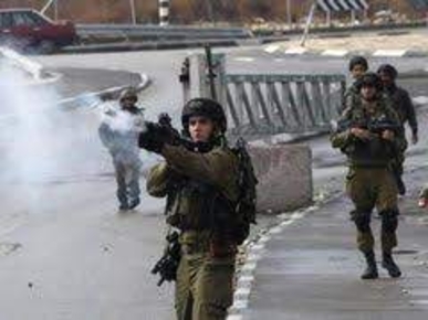 إصابة عدد من الموطنين الفلسطينيين بجروح إثر انفجار داخلي في بيت حانون إصابة عدد من الموطنين الفلسطينيين بجروح إثر انفجار داخلي في بيت حانون