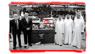 كيف تخلَّت الإمارات عن الفلسطينيين ودعمت إسرائيل للنيل من المقاومة؟ كيف تخلَّت الإمارات عن الفلسطينيين ودعمت إسرائيل للنيل من المقاومة؟