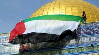 وانتصرت المقاومة الفلسطينية.. “اسرائيل” إلى أين؟ وانتصرت المقاومة الفلسطينية.. “اسرائيل” إلى أين؟