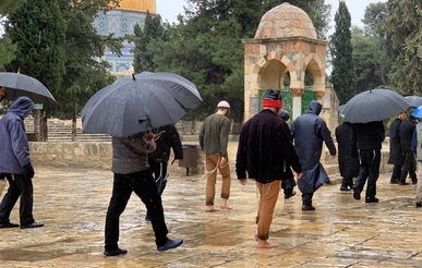 مستوطنون صهاينة يقتحمون مجددا المسجد الأقصى