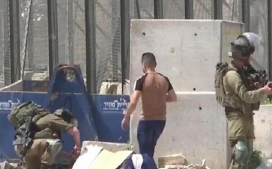 مركز حقوقي يدين عمليات الإعدام ضد المدنيين الفلسطينيين   مركز حقوقي يدين عمليات الإعدام ضد المدنيين الفلسطينيين