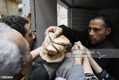 ارتفاع أسعار الغذاء يدفع العالم العربي إلى الانهيار ارتفاع أسعار الغذاء يدفع العالم العربي إلى الانهيار