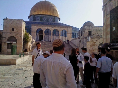 قطعان المستوطنين الصهاينة يجددون اقتحام باحات الأقصى المبارك