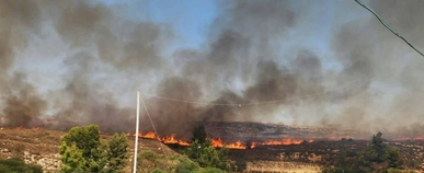 الشباب الفلسطيني الثائر يطلق أعداد كبيرة من البالونات الحارقة في غلاف غزة