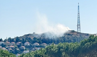 المقاومة اللبنانية تواصل عملياتها مساندة لغزة وردا على الاعتداءات الصهيونية