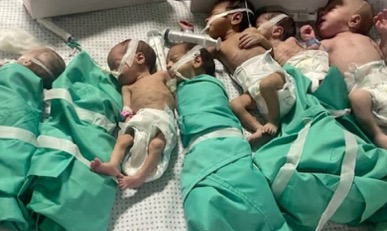 الأورومتوسطي: وفاة طفل بسبب نقص الغذاء في مستشفى الشفاء بغزة