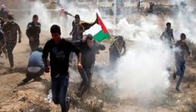 استشهاد طفل فلسطيني وإصابات العشرات برصاص الاحتلال شرق غزة استشهاد طفل فلسطيني وإصابات العشرات برصاص الاحتلال شرق غزة