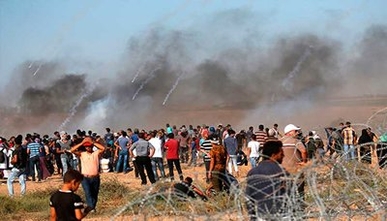 استشهاد 4 مواطنين فلسطينيين شرق قطاع غزة..و مقتل جندي إسرائيلي على حدود القطاع استشهاد 4 مواطنين فلسطينيين شرق قطاع غزة..و مقتل جندي إسرائيلي على حدود القطاع