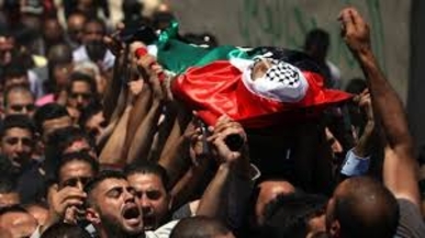 192 شهيدا فلسطينيا برصاص الاحتلال منذ مطلع العام الجاري 192 شهيدا فلسطينيا برصاص الاحتلال منذ مطلع العام الجاري