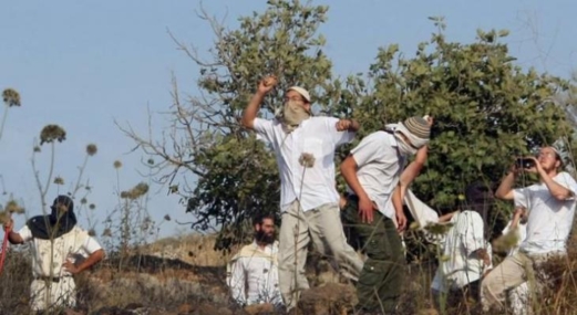 مستوطنون صهاينة يقتحمون خربة يرزا وعرب المليحات بفلسطين المحتلة