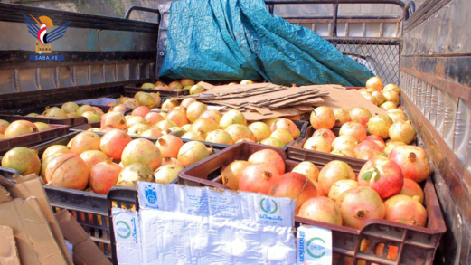 قبيلة الخراشي بصعدة تقدم قافلة رمان للمرابطين في المنطقة العسكرية الخامسة