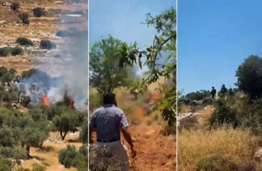 المستوطنون الصهاينة يشنون هجمات متكررة على مزارعين فلسطينيين في الأغوار ورام الله  