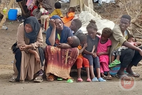 المجلس النرويجي للاجئين:ثلثي النازحين شرق السودان لا يمكنهم الحصول على غذاء