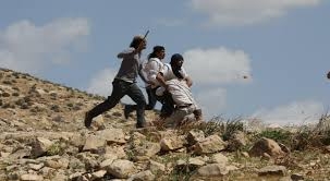 مستوطنون صهاينة يهاجمون قرية خلة الضبع والعدو يعتقل مواطنا في مسافر يطا