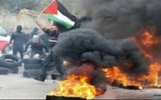 64 عملًا للمقاومة في الضفة والقدس المحتلة خلال أسبوع