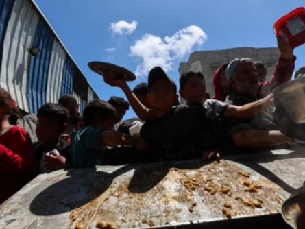 "الأغذية العالمي": الوضع الغذائي في قطاع غزة يزداد تدهورا بسرعة