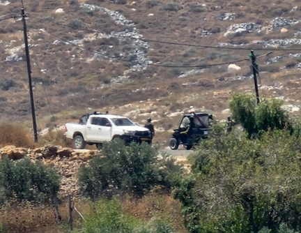  مستوطنون يهاجمون رعاة الأغنام في نابلس ومنزلا في ترمسعيا برام الله