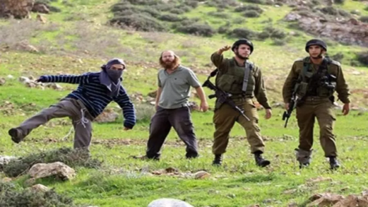 إصابة مسنّة واعتقال فلسطينيين خلال هجوم للمستوطنين على خربة غوين 