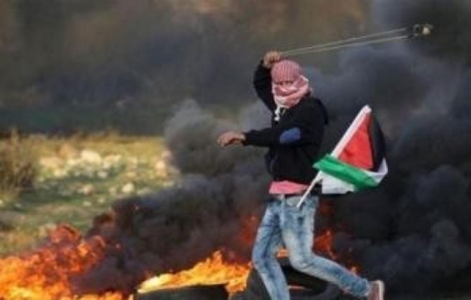  164 عملًا مقاومًا بالضفة والقدس بينها 27 عملية إطلاق نار بأسبوع