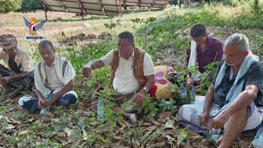 يوم حقلي لمزارعي الذرة الشامية والسمسم في بيت الفقيه بالحديدة 