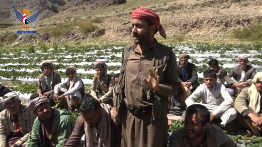 جلسات إرشادية لمزارعي الفراولة والخوخ في بلاد الروس بمحافظة صنعاء جلسات إرشادية لمزارعي الفراولة والخوخ في بلاد الروس بمحافظة صنعاء