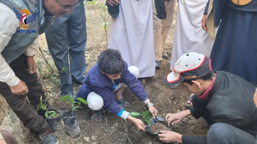 تدشين زراعة البن في المدارس المحورية بمحافظة حجة