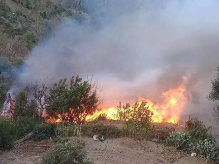 إخلاء عدد من القرى إثر حرائق الغابات في اليونان