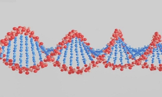 اكتشاف بروتينات قد تسهم في علاج السرطان وإبطاء الشيخوخة