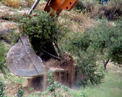 العدو الإسرائيلي يشرع بتجريف أراض زراعية شمال غرب سلفيت