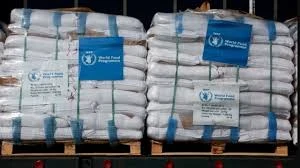 "الأغذية العالمي" يدعو لتوسيع نطاق الدعم للوصول إلى المحتاجين في غزة