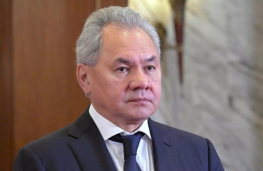 شويغو: روسيا وإيران ستطوران التعاون العسكري التقني