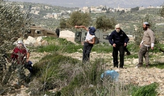 مستوطنون صهاينة يحرقون غرفا زراعية قرب المغيّر شمال شرق رام الله