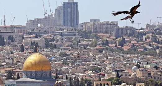 العدو الصهيوني يصدر قرارا بأبعاد أكثر من 300 مقدسي عن الاقصى خلال أيام