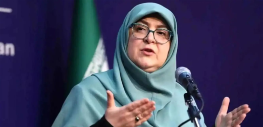 مهاجراني: جهوزية إيران العسكرية كاملة لحماية المصالح الوطنية