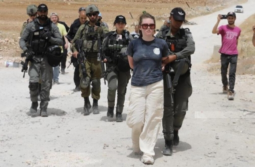 العدو الصهيوني يعتقل متضامنين أجانب تصدوا لاعتداء مستوطنين شمال أريحا