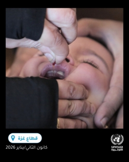 "أونروا" تؤكد تواصل الجولة الثانية من حملة التحصين الاستدراكية في جميع أنحاء ‎غزة