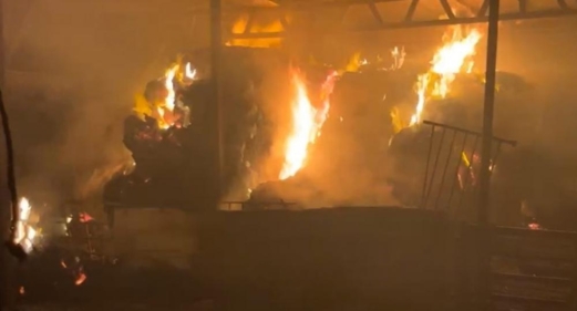 المستوطنون يحرقون خيامًا ويعتدون على ممتلكات الفلسطينيين بالضفة