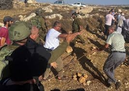 اعتداءات مختلفة لمستوطنين صهاينة في الأراضي الفلسطينية 