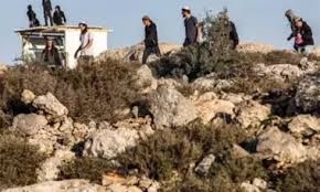 مستوطنون يقطعون خطوط مياه في تجمع العوجا شمال أريحا