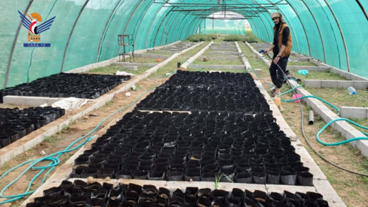 تدشين حصاد القمح المحسّن للموسم الشتوي في جحانة بمحافظة صنعاء تدشين حصاد القمح المحسّن للموسم الشتوي في جحانة بمحافظة صنعاء