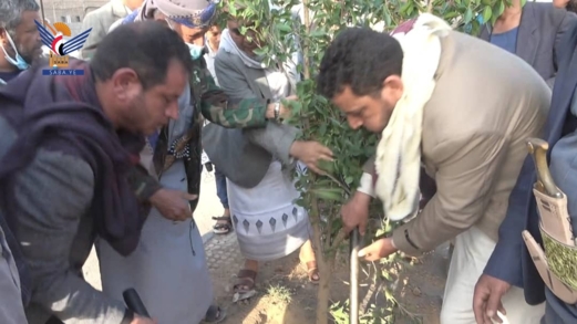 تدشين زراعة الأشجار المثمرة بالشارع الرئيسي بمدينة رداع في البيضاء