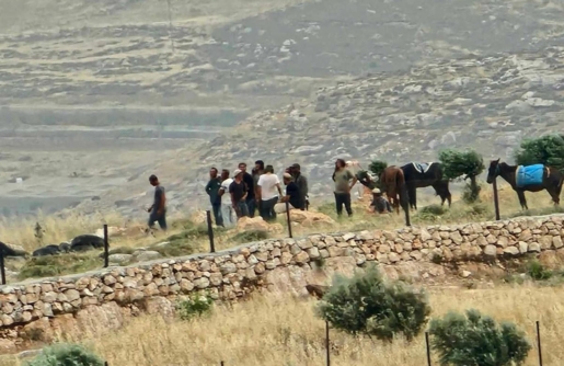 قطعان المستوطنين يهاجمون المواطنين الفلسطينيين قرب المغير شرق رام الله
