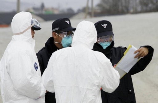 كوريا الجنوبية تسجل أول إصابة بإنفلونزا الطيور هذا العام 