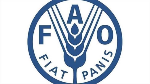"الفاو": أسعار الغذاء العالمية ترتفع إلى أعلى مستوى منذ عامين في ابريل